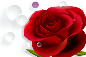 玫瑰花装饰画