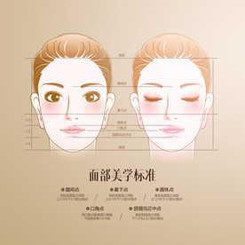 面部美学标准
