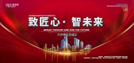 会议背景