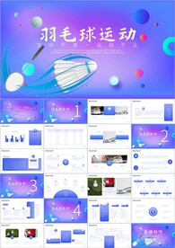 羽毛球比赛竞赛协会ppt