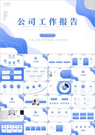 商务项目报告项目总结ppt