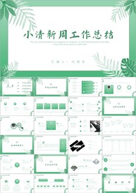 文艺简约小清新阶段总结ppt