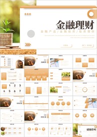 金融保险理财工作汇报ppt