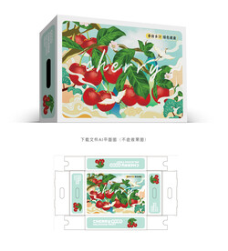 樱桃包装