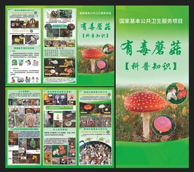 国家基本公共卫生服务