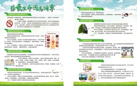 珍爱生命 远离烟草