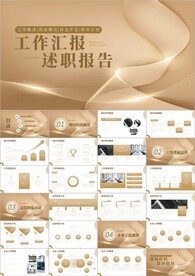 项目工作总结汇报ppt