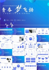 项目报告项目总结工作总结ppt