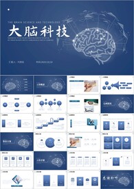 蓝色医疗大脑科技工作ppt