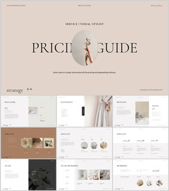 优雅策略汇报演示PPT模板