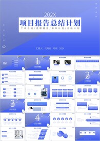 项目报告项目总结ppt