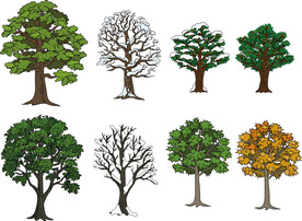 卡通树木矢量图