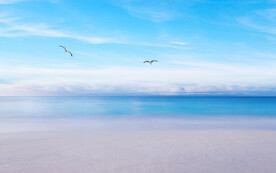 蓝天白云大海背景墙