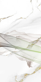 大气 高档玄关新图 Tif分层