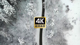 冬日森林道路上行驶的汽车