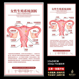 私密海报 女性保养 子宫
