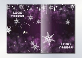 紫星光 手册封面