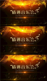 情迷音乐会视频背景