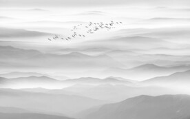 新中式意境山水画