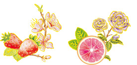 红柚玫瑰草莓桃花