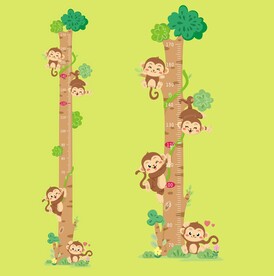 可爱小猴  身高尺  身高贴 