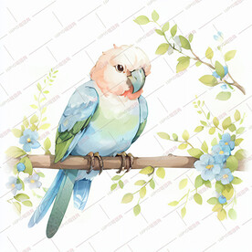 水彩画树枝上的鸟