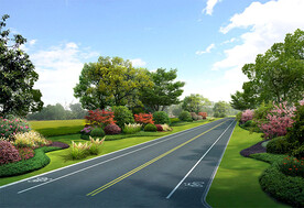 乡村道路绿化效果图
