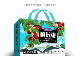 灵武红枣包装