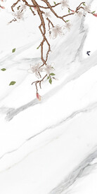 清晰 中式意境玄关 Tif分层