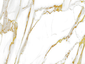 现代 金色爵士白纹 TiF合层