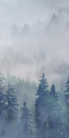 高雅 玄关新品新画 TiF分层