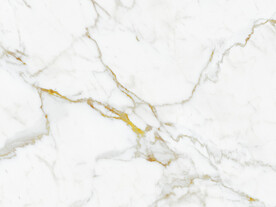 新品 新金线鱼肚白 tIF合层