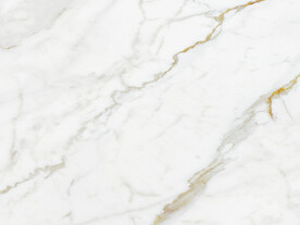 电视 新金线鱼肚白 tIF合层