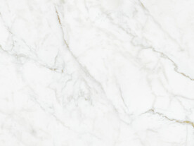 新品 新金色爵士白 tIF合层