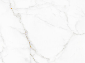 大气 新金线鱼肚白 tIF合层