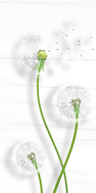 大气 高雅简约玄关 TiF分层