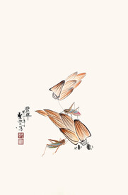 国画昆虫