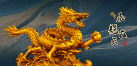 龙金龙飞龙