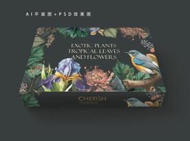 高档礼盒包装设计