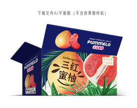 三红柚包装