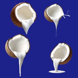 四款椰子奶花高清大图