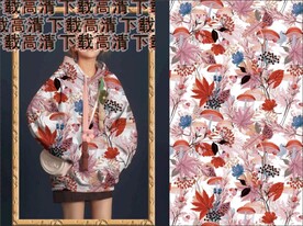 大牌花  卫衣女装   斑马纹