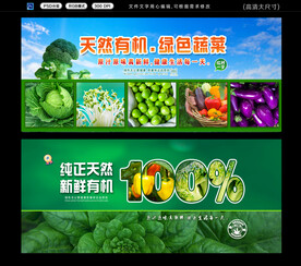 有机蔬菜