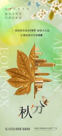 秋分节气房地产海报