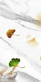 奢华 最新大气玄关 TiF分层