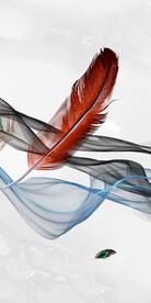 新品 最新大气玄关 TiF分层