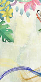 质感 欧式清晰玄关 TiF分层