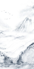 奢雅 新品图玄关画 TiF分层