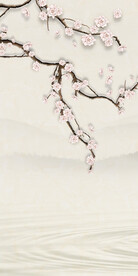 大气最新玄关 tiF分层