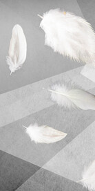 极简 高端人气玄关 TIF分层